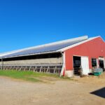 Fire destroys bank barn at Trumbull County dairy kibler dairy farm