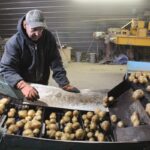 Pennsylvania potato growers celebrate 100 years of cooperation