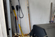 How to overwinter a container-grown tree container-grown tree