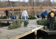 Recycled Christmas trees can enhance fish habitat Recycling Christmas trees