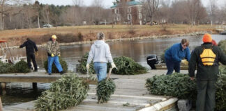 Recycled Christmas trees can enhance fish habitat Recycling Christmas trees