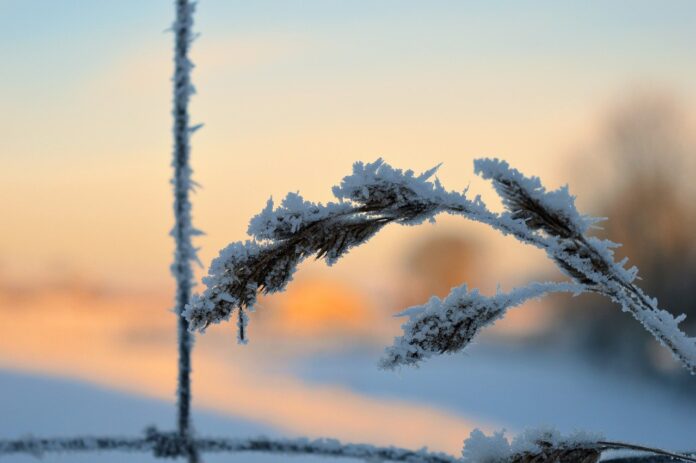 winter sunrise winter sunrise