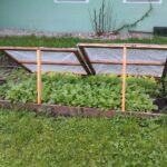 How to build a cold frame for early spring gardening cold frame