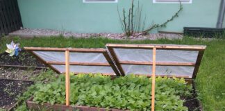 How to build a cold frame for early spring gardening cold frame