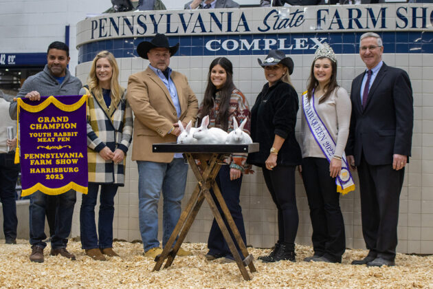 Grand Champion Rabbit