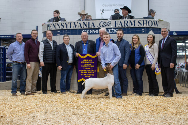Grand Champion Goat