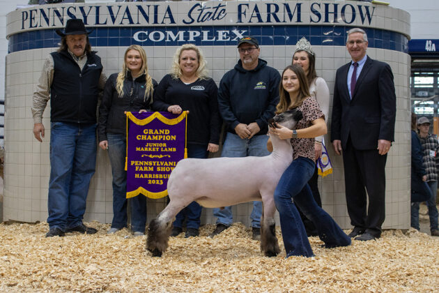 Grand Champion Lamb