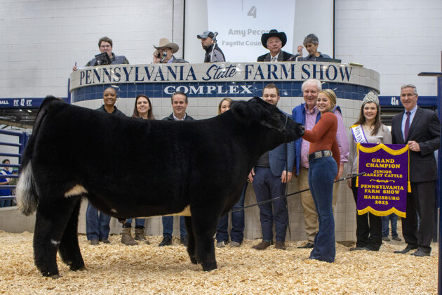 Grand Champion Steer