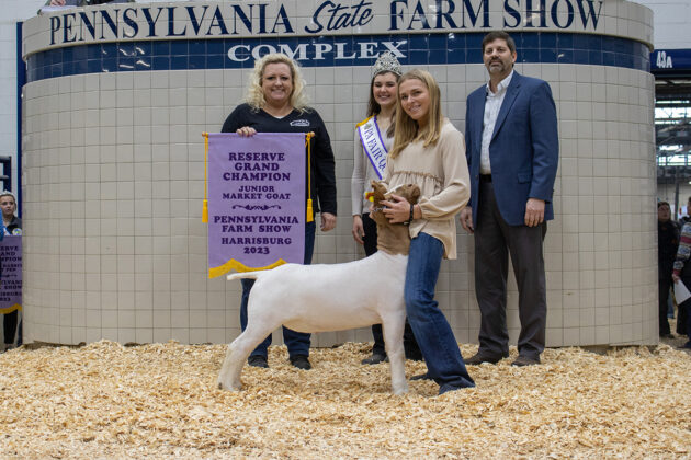 Reserve Champion Goat