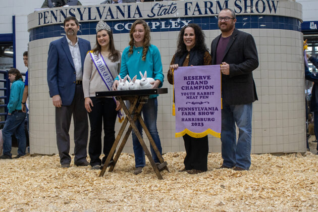 Reserve Champion Rabbits