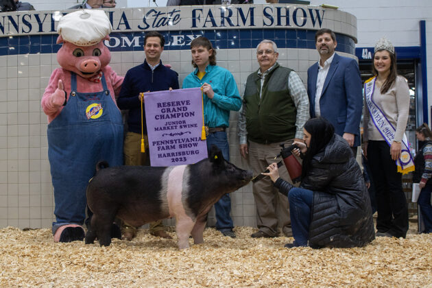 Reserve Champion Swine