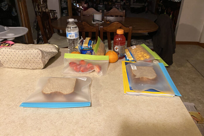 reusable sandwich bags reusable sandwich bags