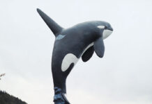 Cruising Alaska with friends and family of the Steffens