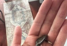 Can you hazard a guess on this palm-sized mystery tool?