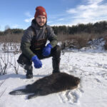 How to trap a beaver Beaver hunting