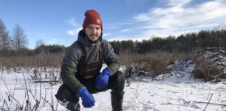 How to trap a beaver Beaver hunting