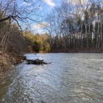 Are you there Norfolk Southern? It’s us, the ones affected by your disaster Little Beaver Creek