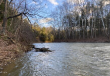 Are you there Norfolk Southern? It’s us, the ones affected by your disaster Little Beaver Creek