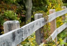 How to manage fallow fields to create wildlife habitat fence and wildflowers