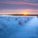 Love is the ultimate homecoming sunset over a prairie