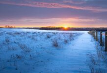 Love is the ultimate homecoming sunset over a prairie