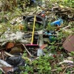 Memories of trash and treasure: Part 2 trash dump