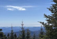 Views from the top well worth the journey Mount Mitchell
