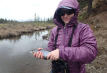 How you can support wildlife conservation Christine Slover