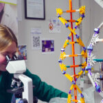 Something for everybody: Ohio leads the way in career and technical education high school student looks through microscope with helix models on table