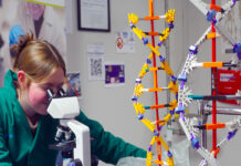 Something for everybody: Ohio leads the way in career and technical education high school student looks through microscope with helix models on table