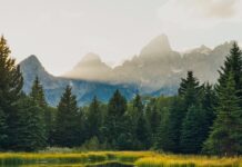 Foolish race grand teton