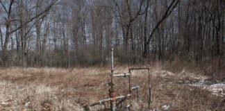 A well head sits in a brushy area next to some trees