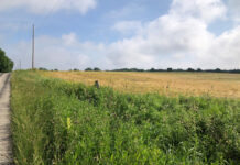 134 acres of Ohio farmland added to Farmland Preservation Program Fackler Farm