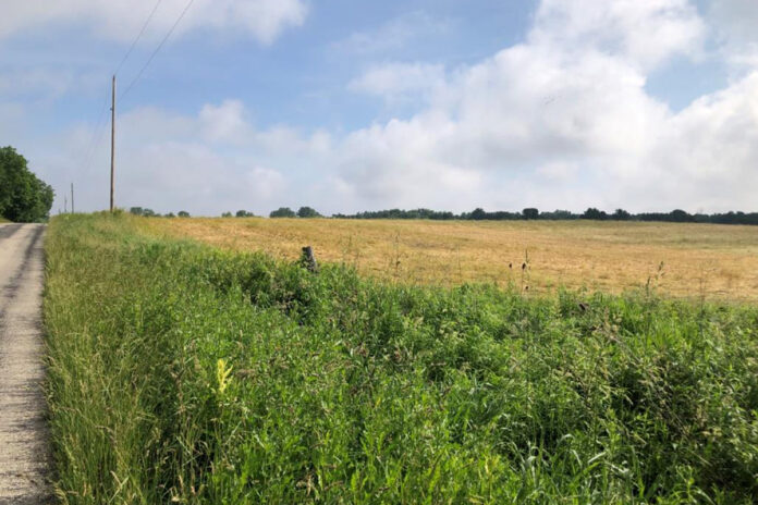 Fackler Farm Fackler Farm