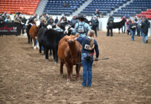 Cattle industry celebrates successful 35th Ohio Beef Expo 35th Ohio Beef Expo