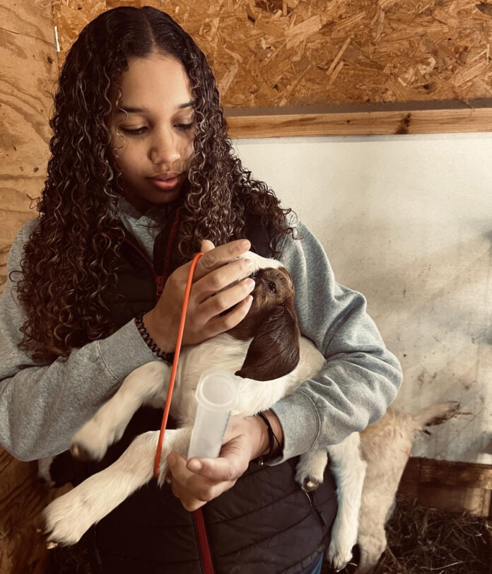 Olivia Stoudmire Olivia Stoudmire