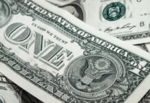 White House beef tariffs make hash out of cattle markets money