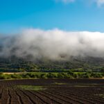 Mother Nature dictates how we can farm California farm