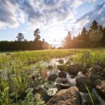 Home is more of a feeling than a location Minnesota