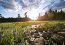 Home is more of a feeling than a location Minnesota