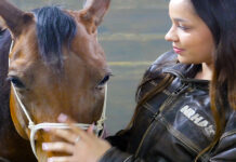 Runzo reigns: Ohio teen leads National Reining Horse Youth Association a young woman looks at her horse as she bridles him