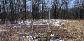 a well head sits in a brushy area next to some trees