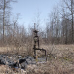 a well head sits in a brushy area next to some trees