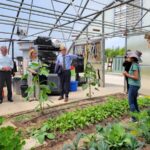 New USDA grant program to boost ways to get organic products to market three people in business casual wear stand in a greenhouse talking to a woman in a floppy hat
