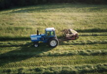 Factors to consider when pricing hay a blue tractor moves across a field of green, mowing hay