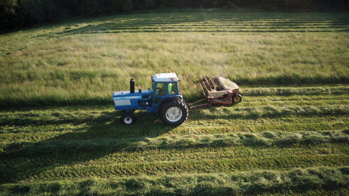 mowing hay a blue tractor moves across a field of green, mowing hay