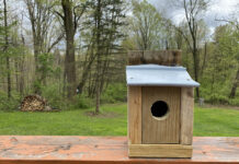 How to build and install a simple nest box nest box