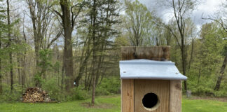 How to build and install a simple nest box nest box