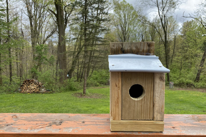 nest box
