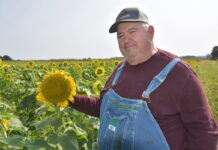 Innovation is key — don’t be a laggard dave brandt, a guru in no-till farming practices, stands wearing blue jean bib overalls in a field of sunflowers